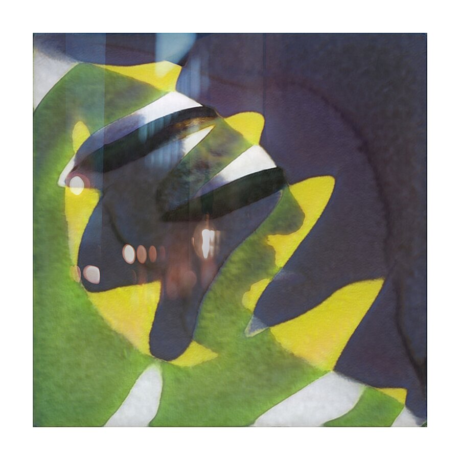 2481 8K Picture Frame print