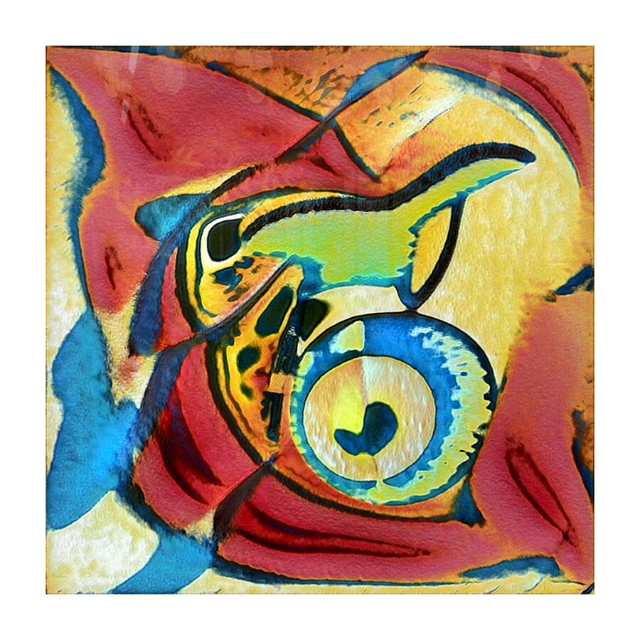 2544 8K Picture Frame print