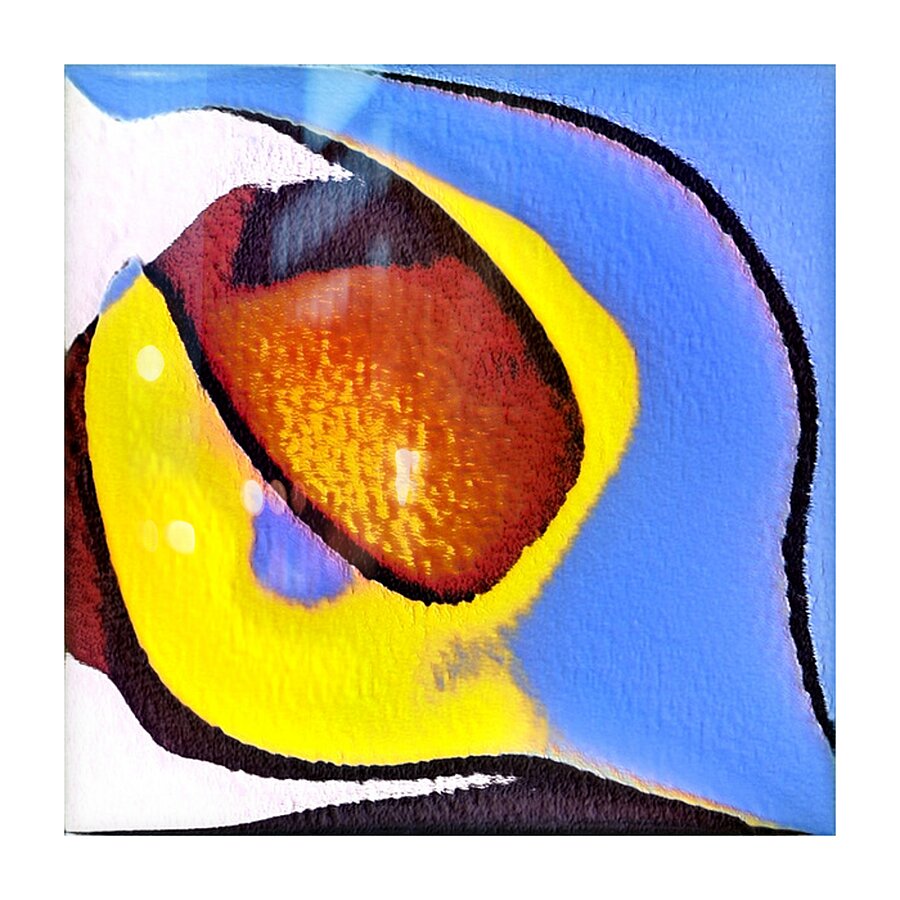 2522 8K Picture Frame print