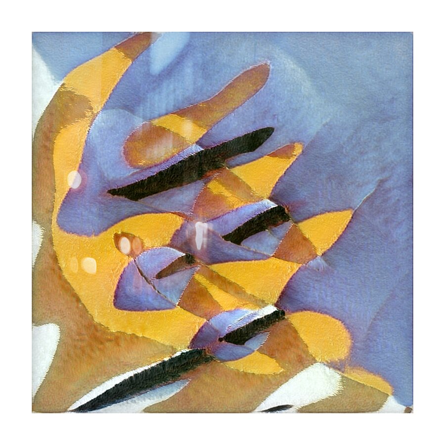 2581 8K Picture Frame print