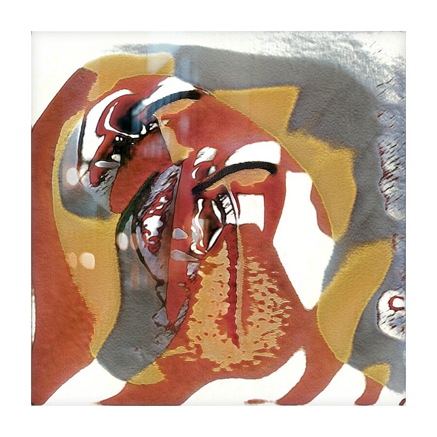 2564 8K Picture Frame print