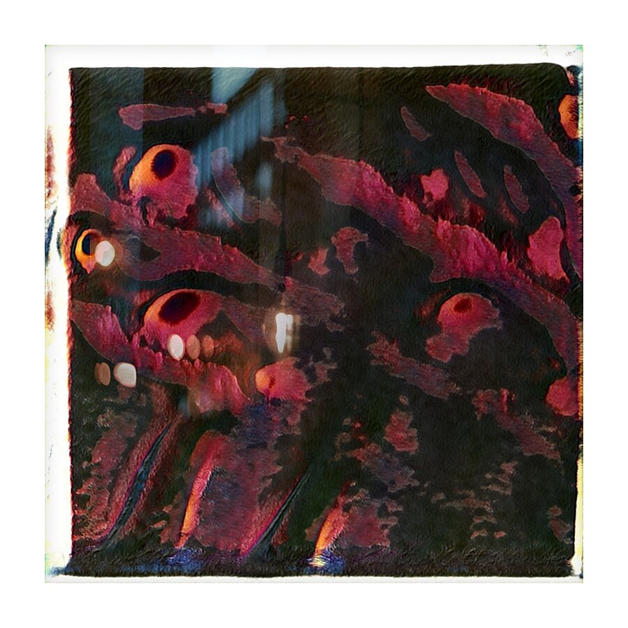 2596 8K Picture Frame print