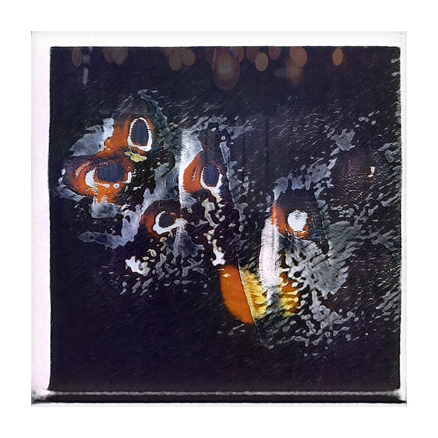 2567 8K Picture Frame print