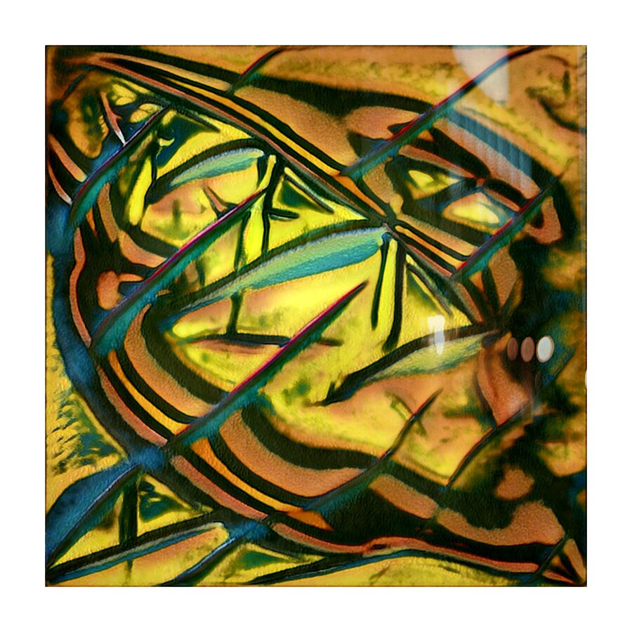 2616 8K Picture Frame print