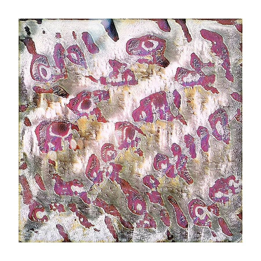 2639 8K Picture Frame print