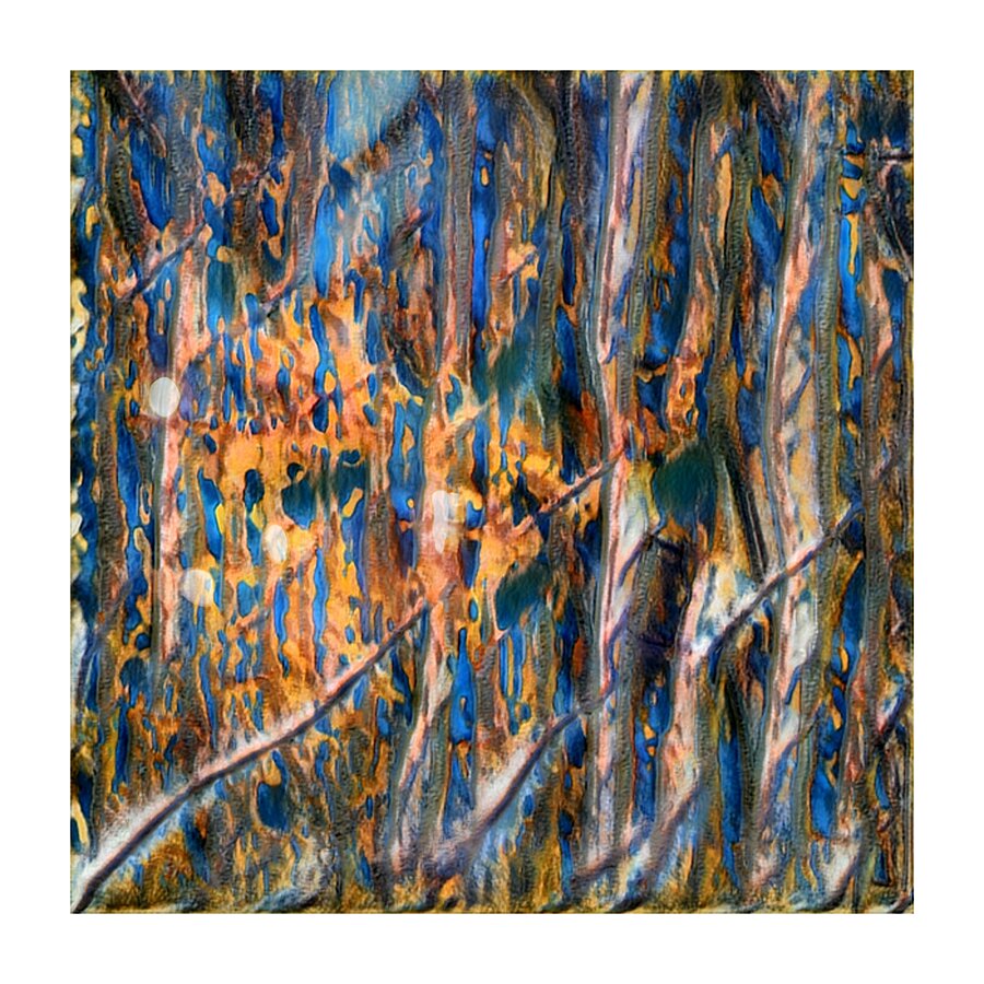 2611 8K Picture Frame print