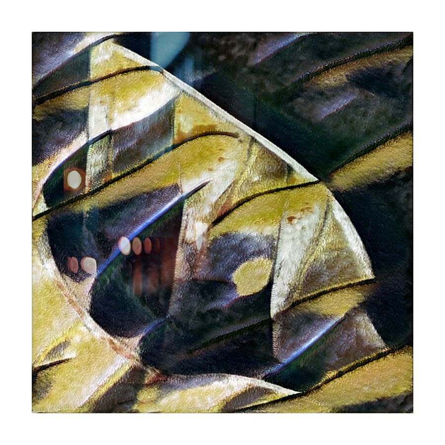 2713 8K Picture Frame print