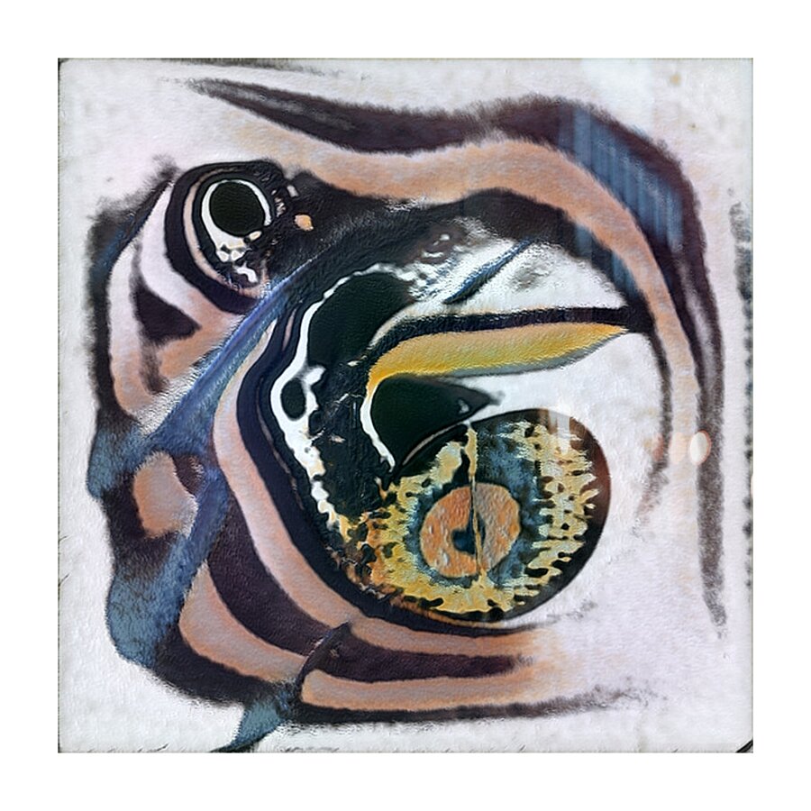 2685 8K Picture Frame print