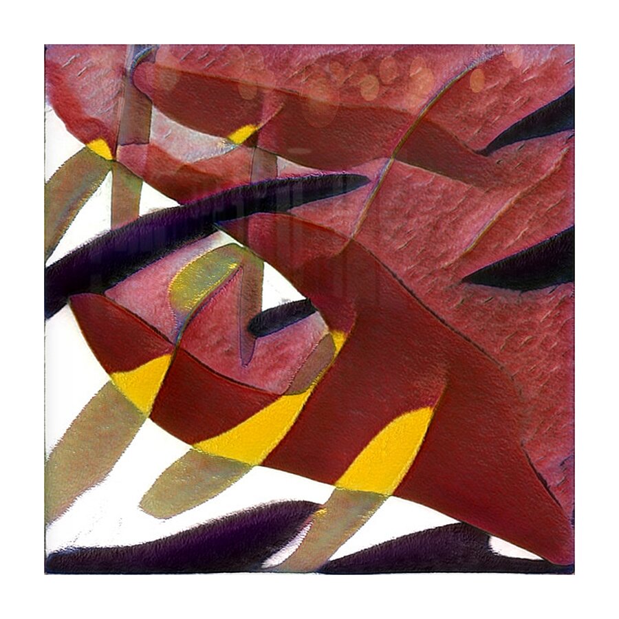 2750 8K Picture Frame print