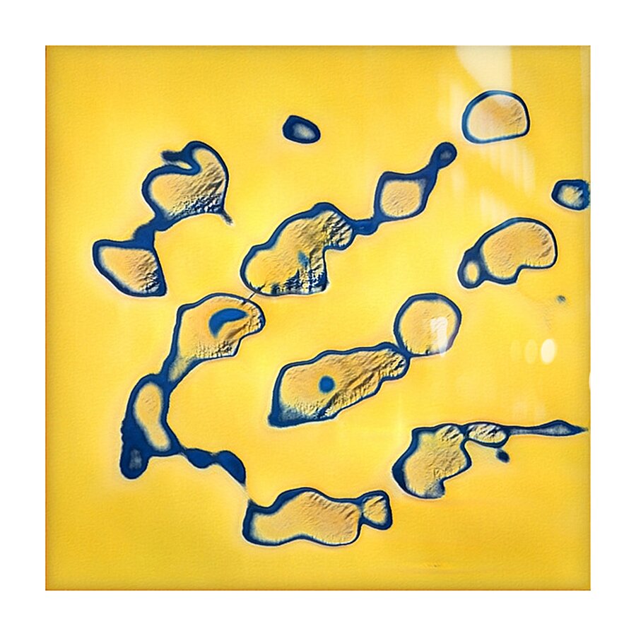 2731 8K Picture Frame print