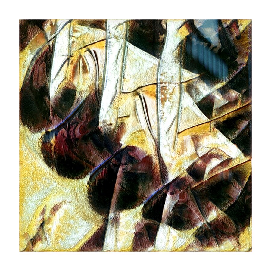 2773 8K Picture Frame print