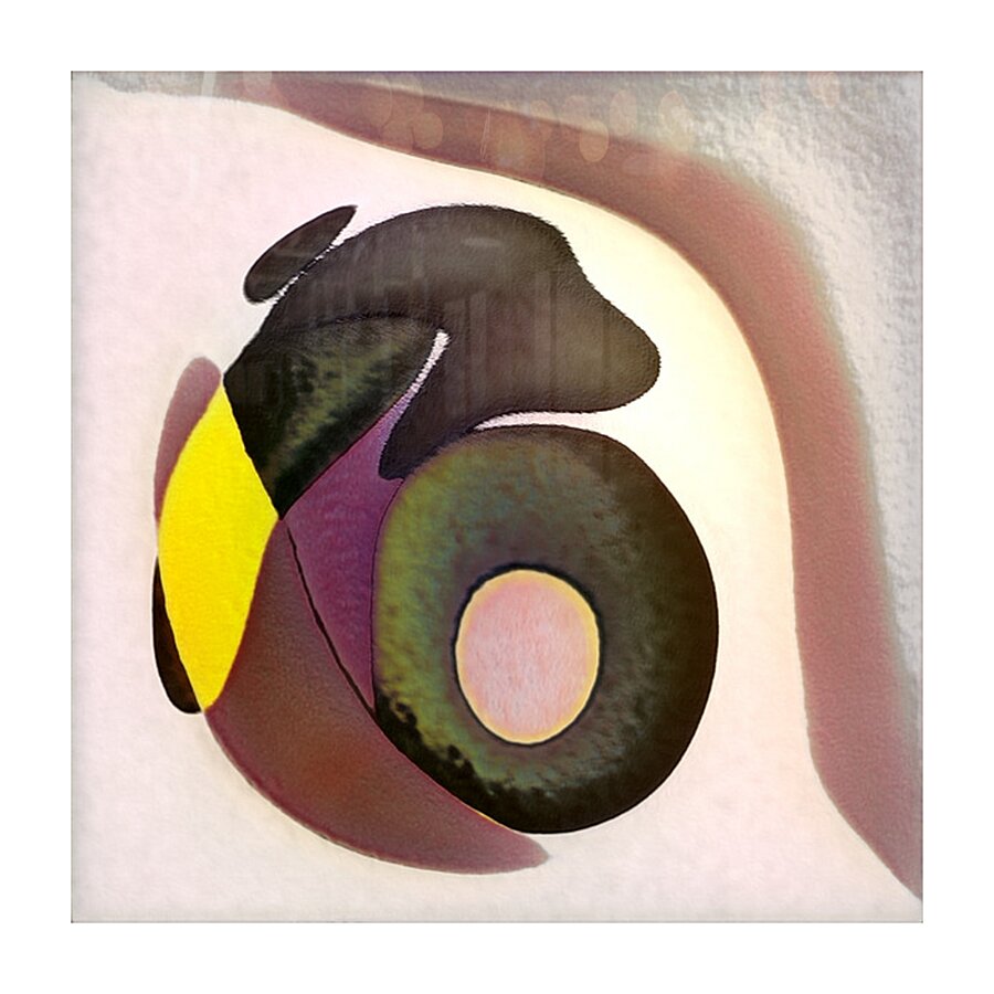 2764 8K Picture Frame print