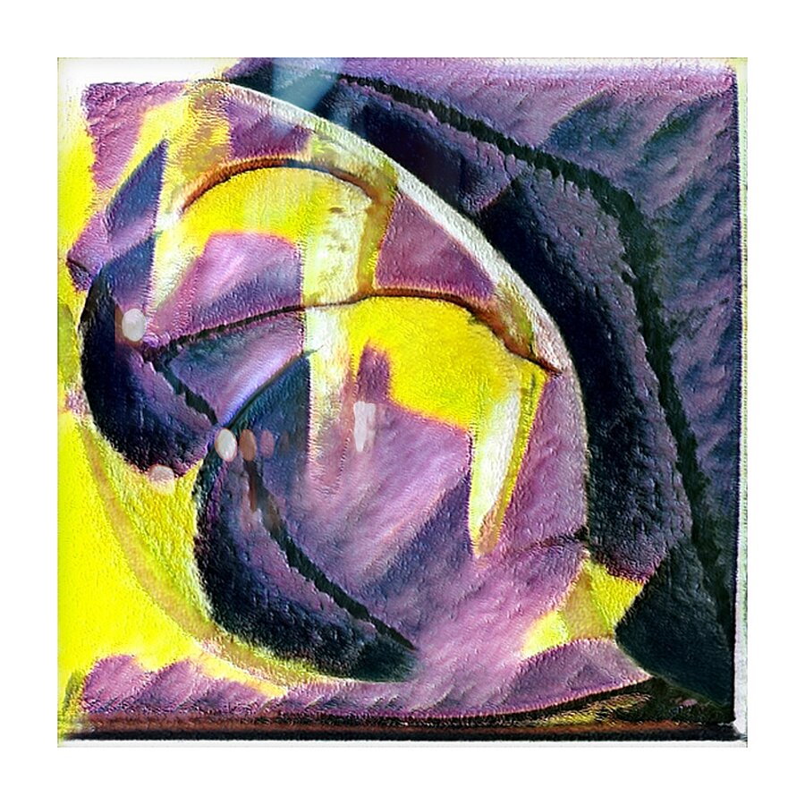 2816 8K Picture Frame print