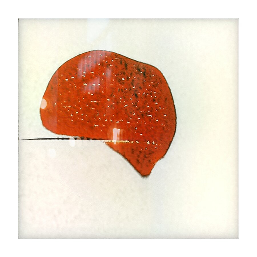 2820 8K Picture Frame print