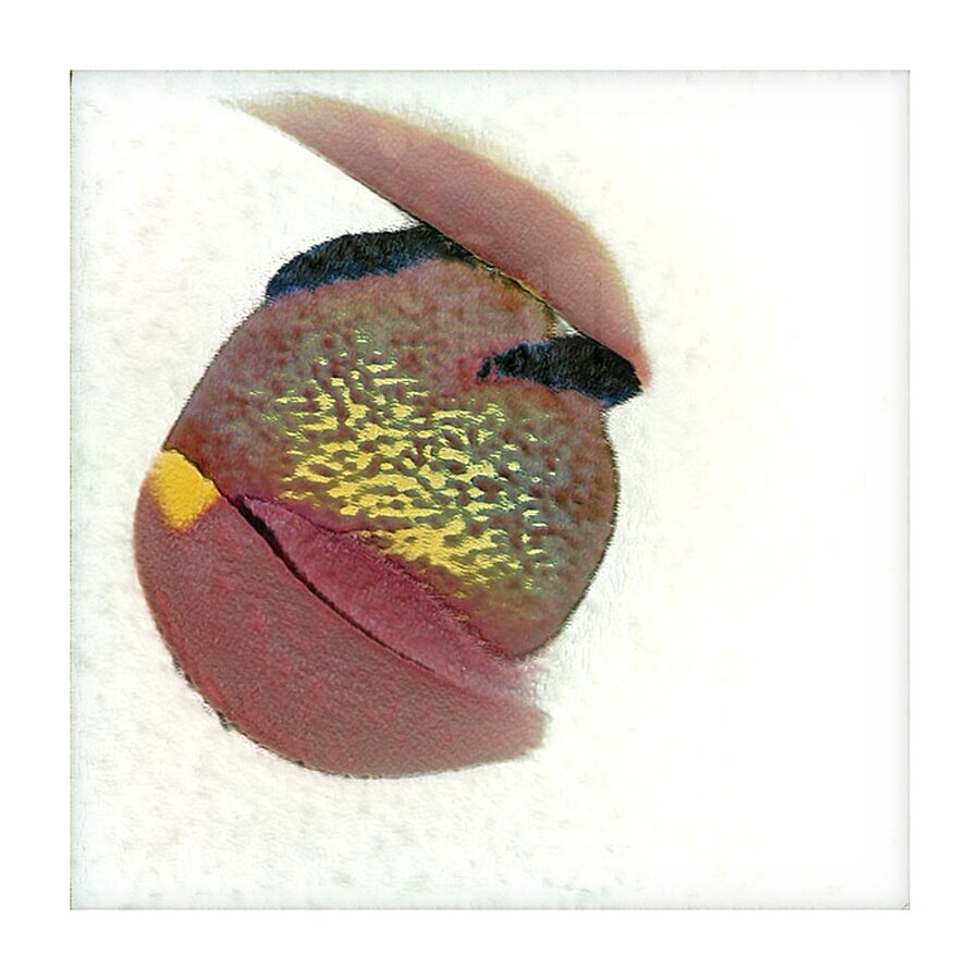 2835 8K Picture Frame print