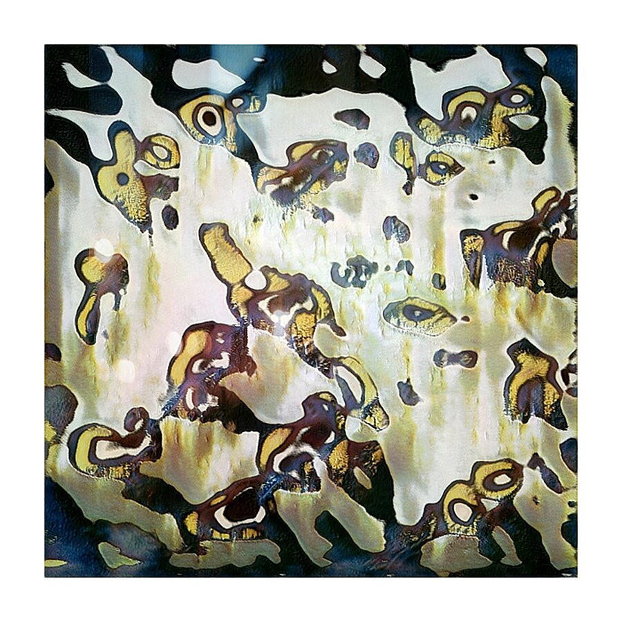 2827 8K Picture Frame print