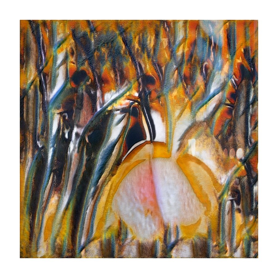 2847 8K Picture Frame print