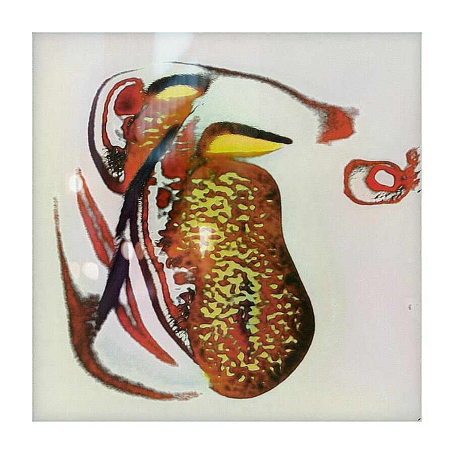 2875 8K Picture Frame print