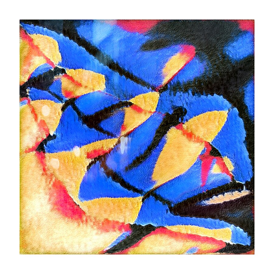 2911 8K Picture Frame print