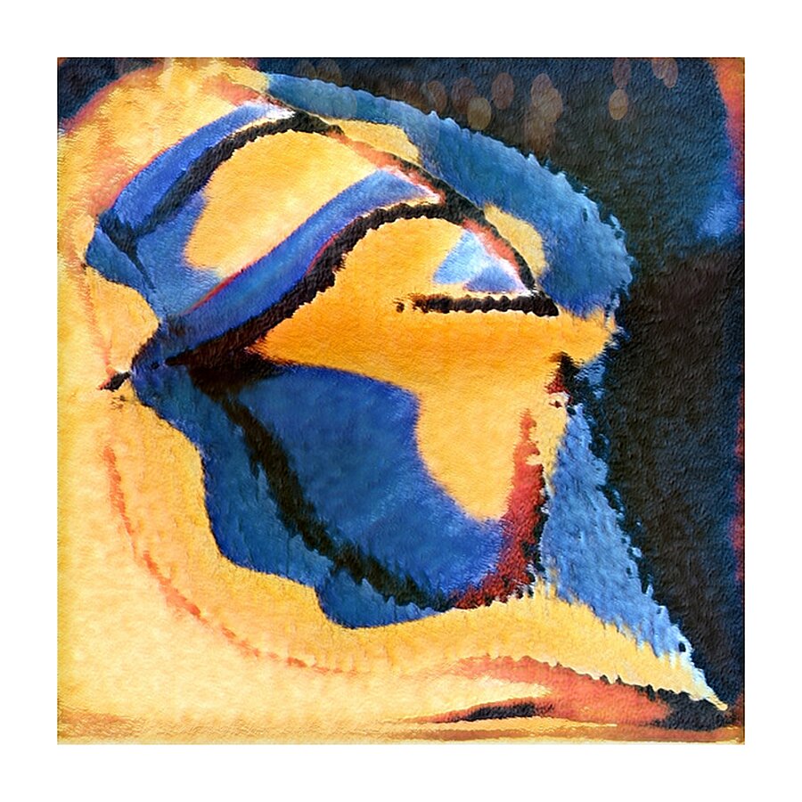 2892 8K Picture Frame print