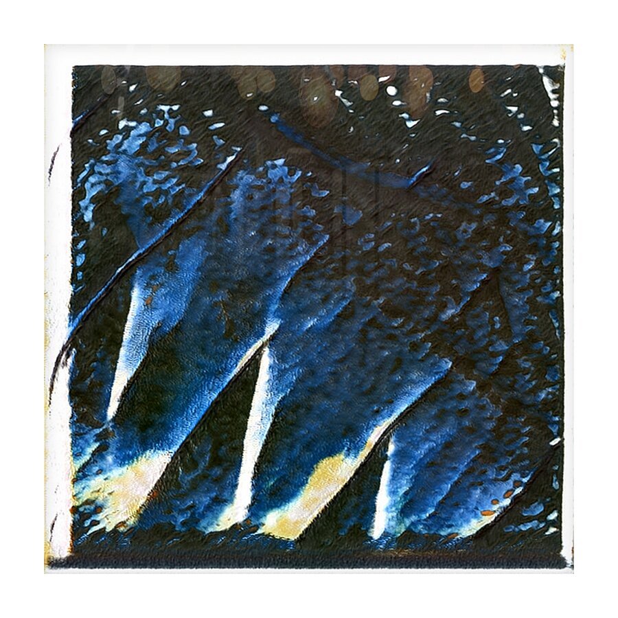 2925 8K Picture Frame print