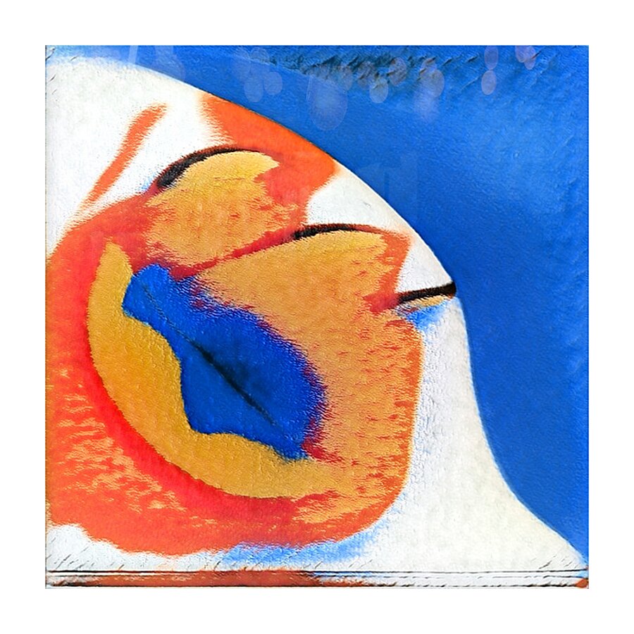 2955 8K Picture Frame print