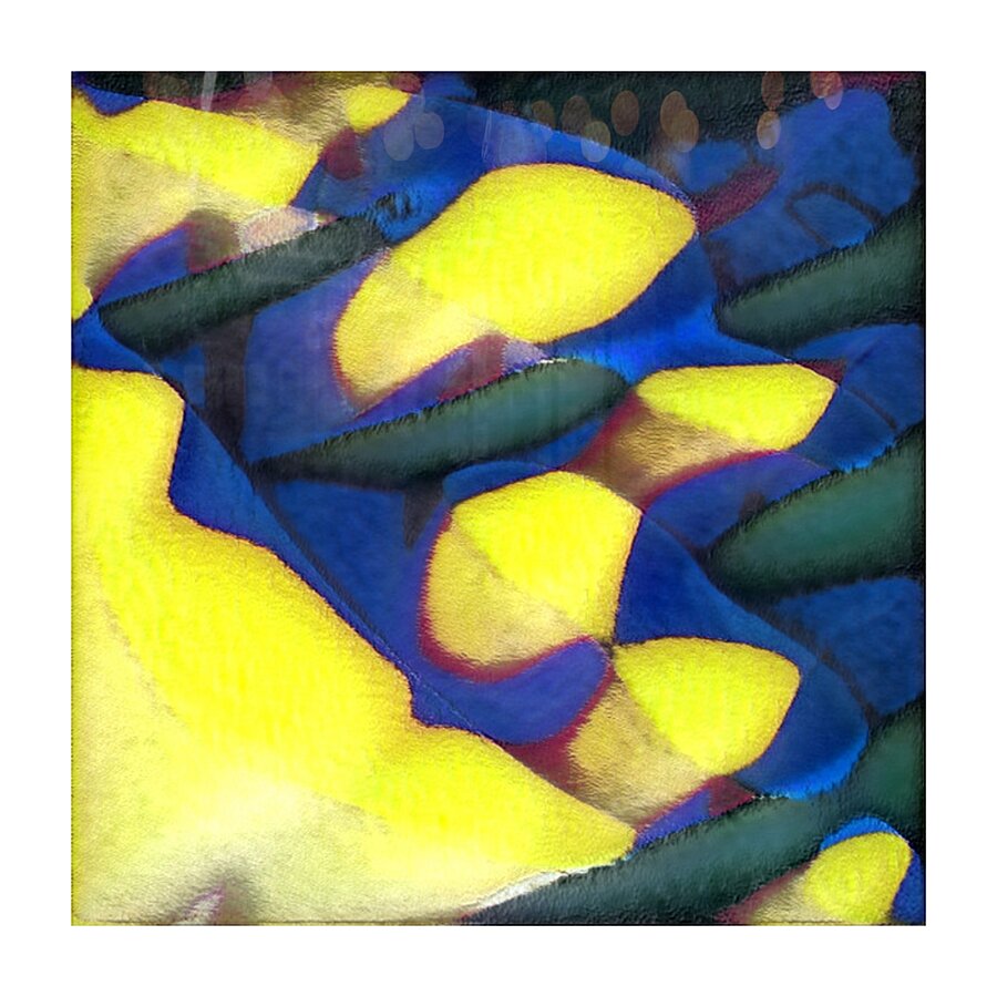 2934 8K Picture Frame print