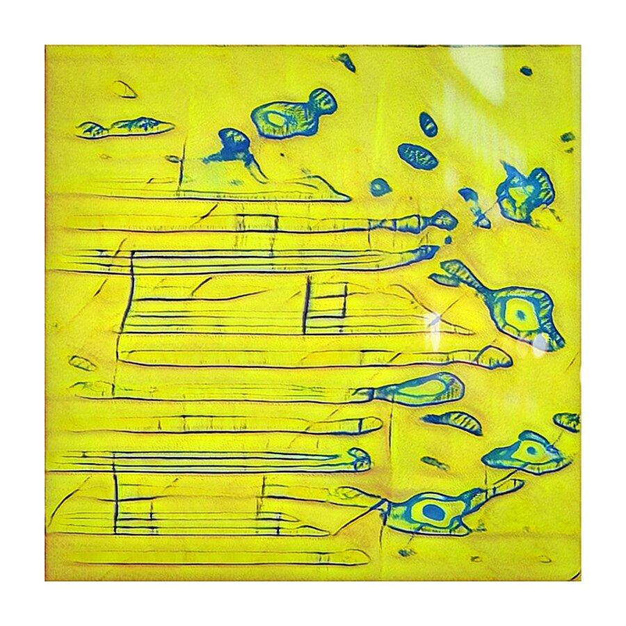 2993 8K Picture Frame print