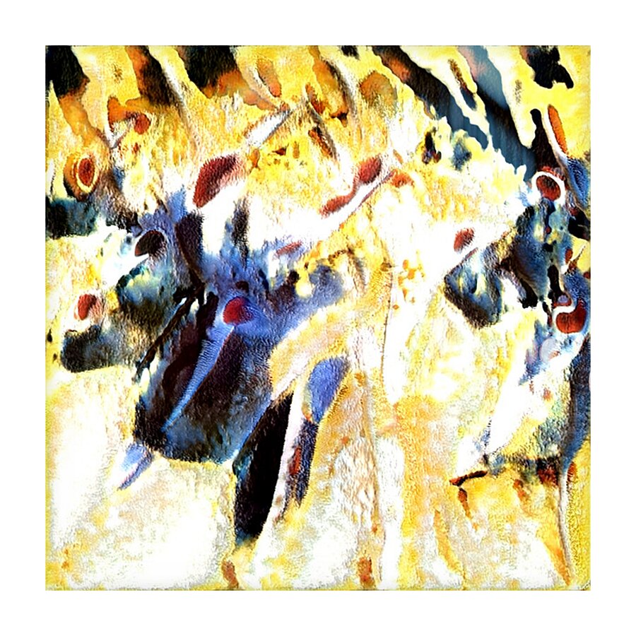 3030 8K Picture Frame print