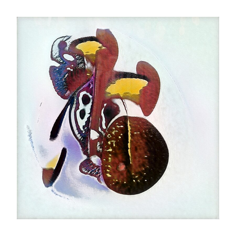 3031 8K Impression et Cadre photo