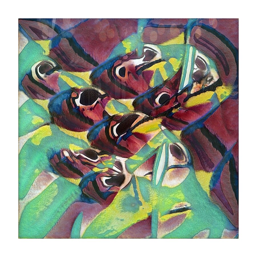 3005 8K Picture Frame print