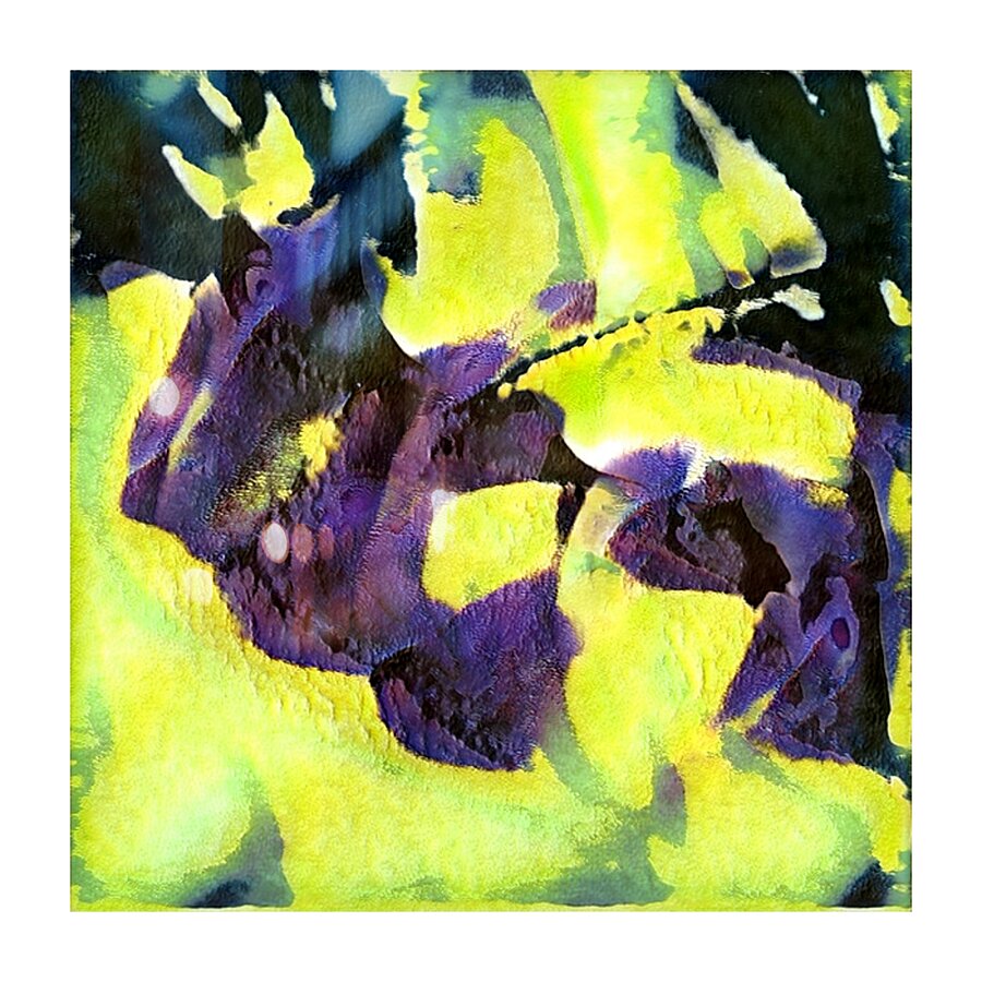 3080 8K Picture Frame print