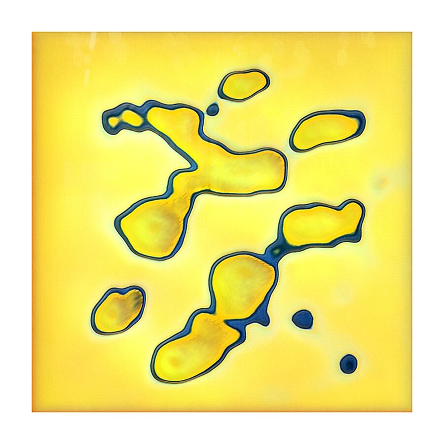 3044 8K Picture Frame print