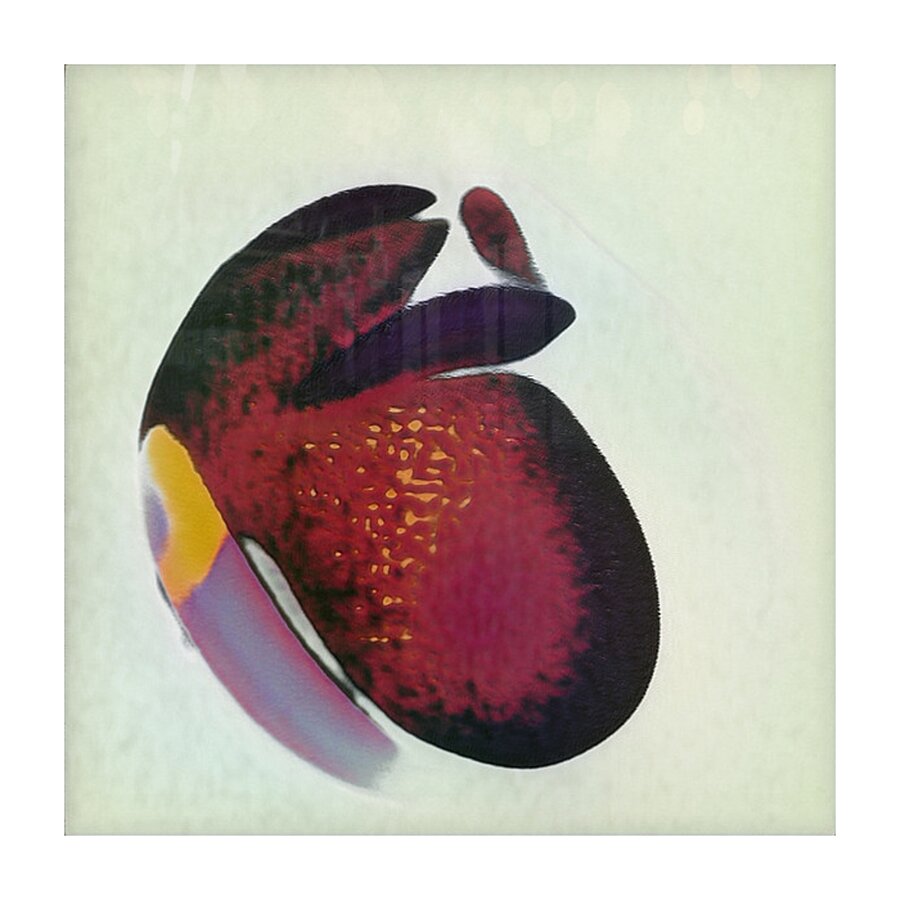 3093 8K Picture Frame print