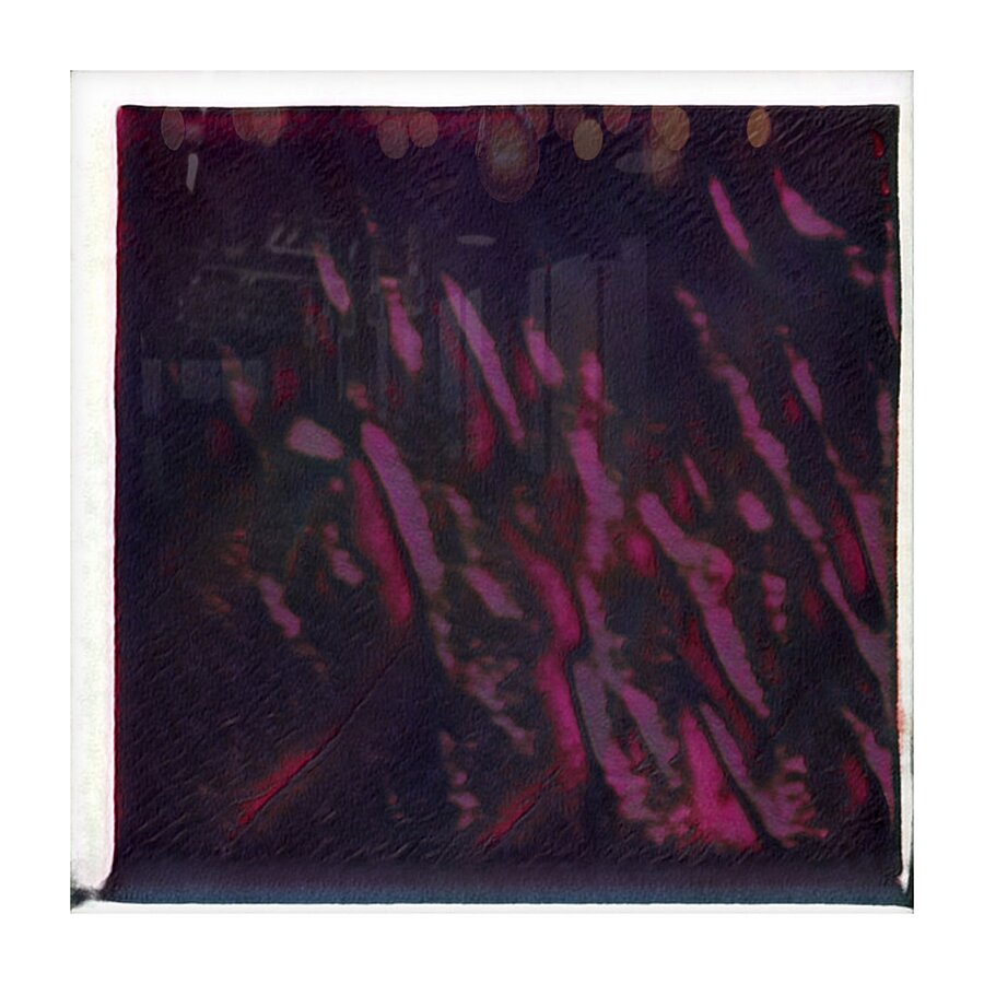 3089 8K Picture Frame print