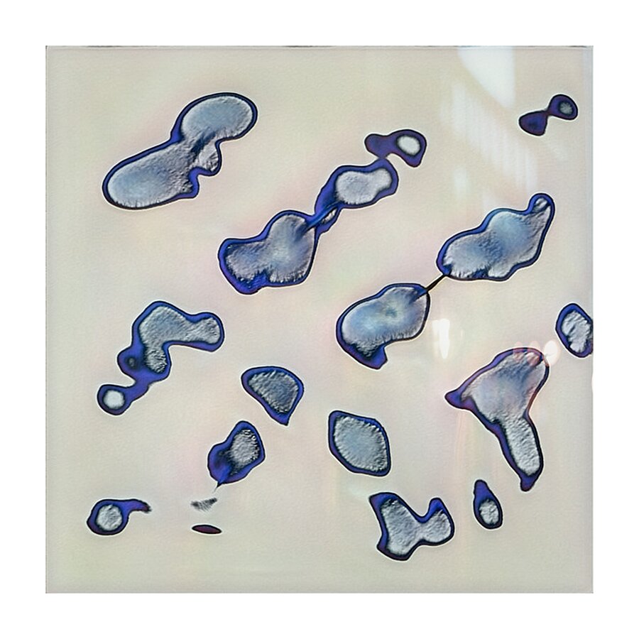 3150 8K Picture Frame print