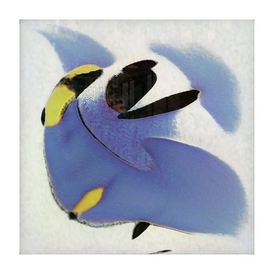 3121 8K Picture Frame print