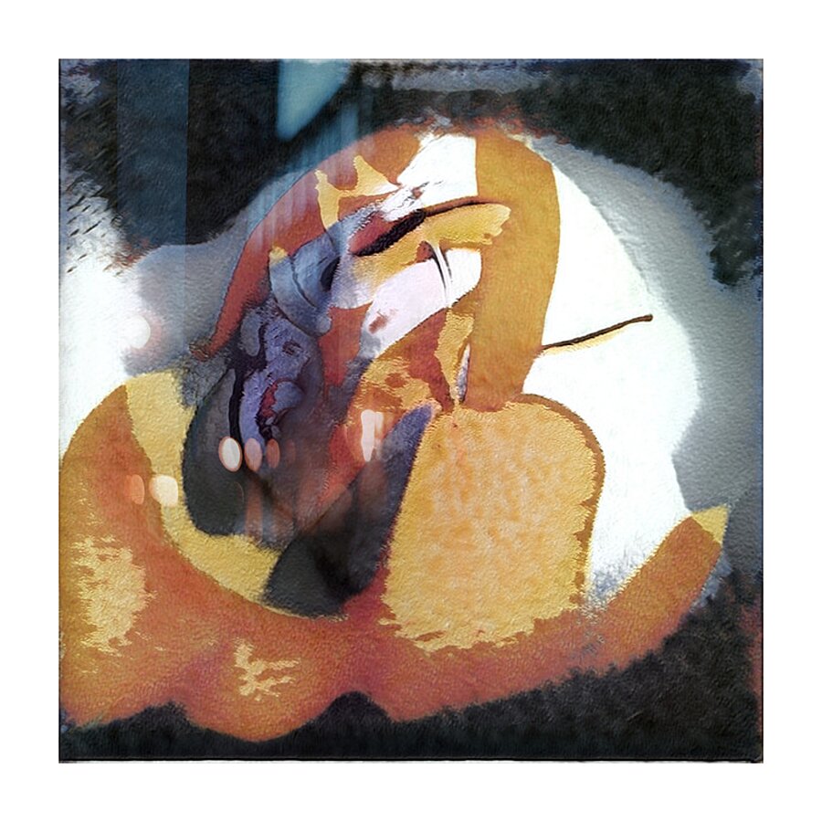 3149 8K Picture Frame print