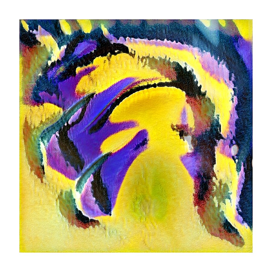 3230 8K Picture Frame print