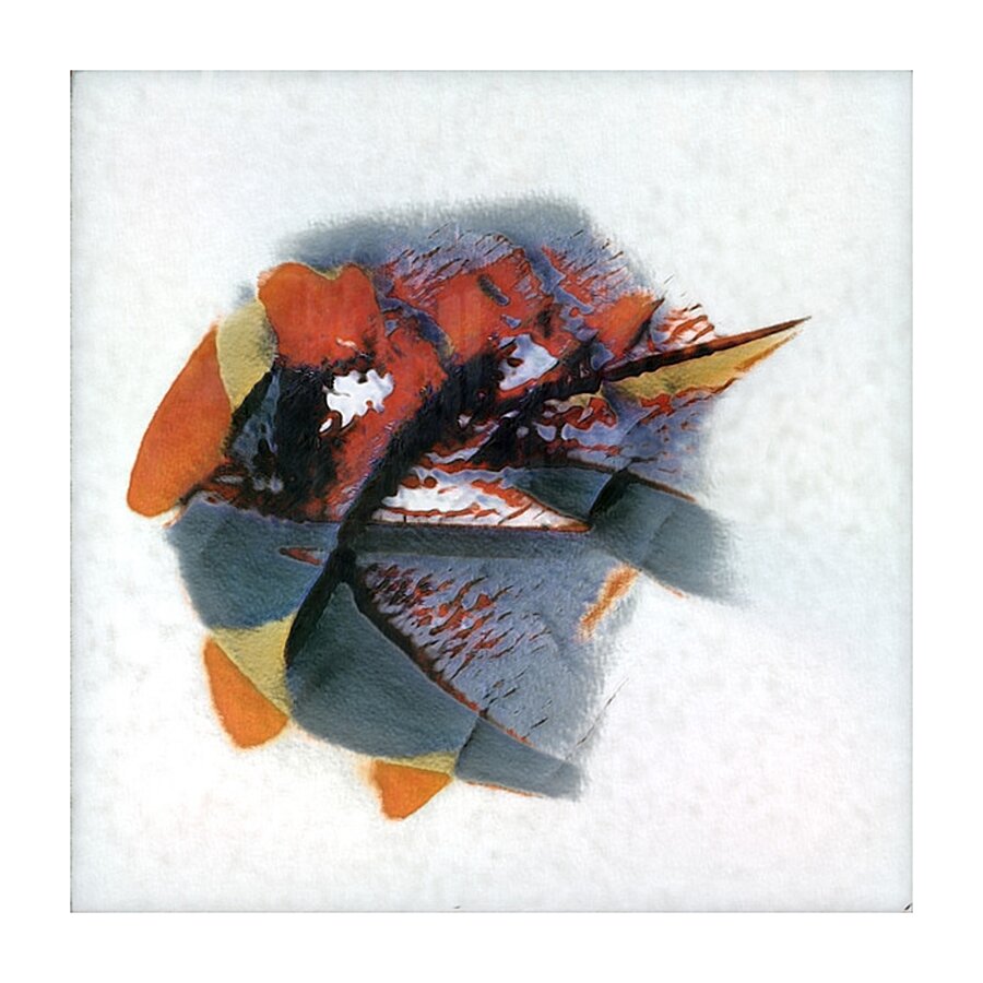 3245 8K Picture Frame print