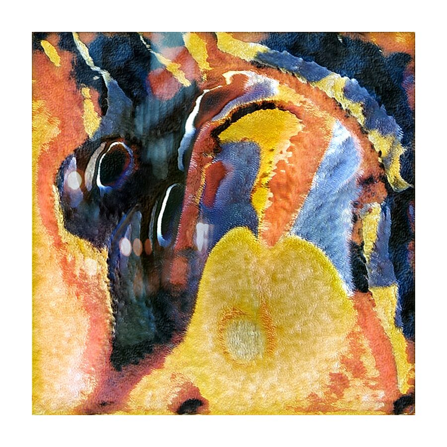 3269 8K Picture Frame print