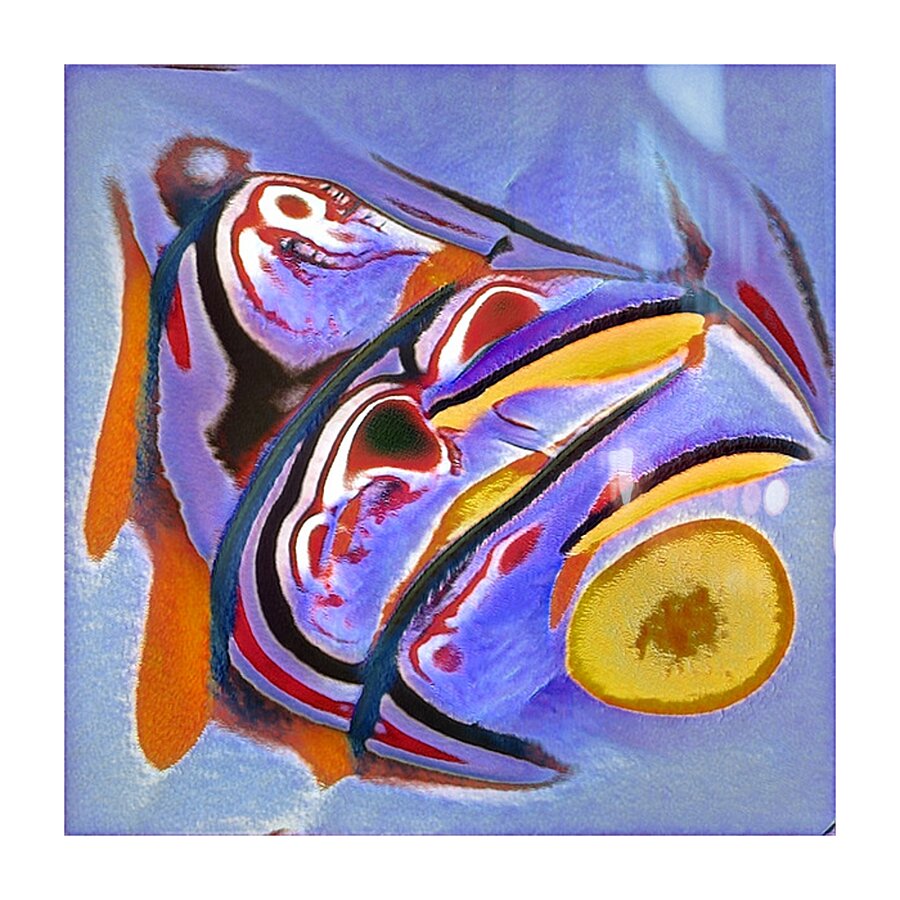 3311 8K Picture Frame print