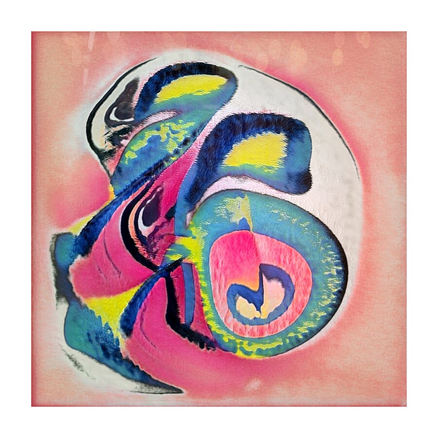 3356 8K Picture Frame print