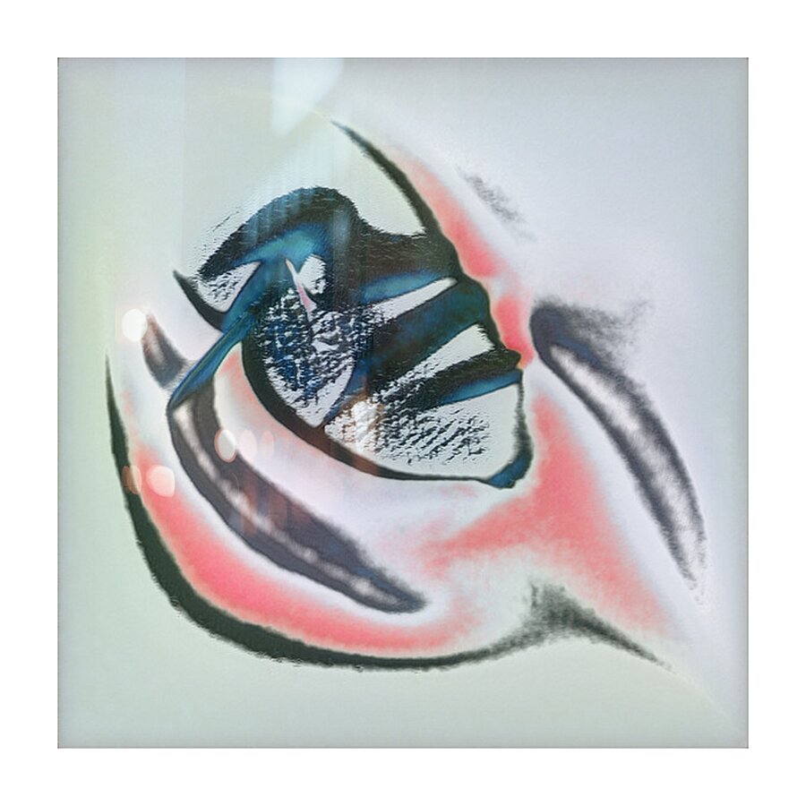 3367 8K Picture Frame print