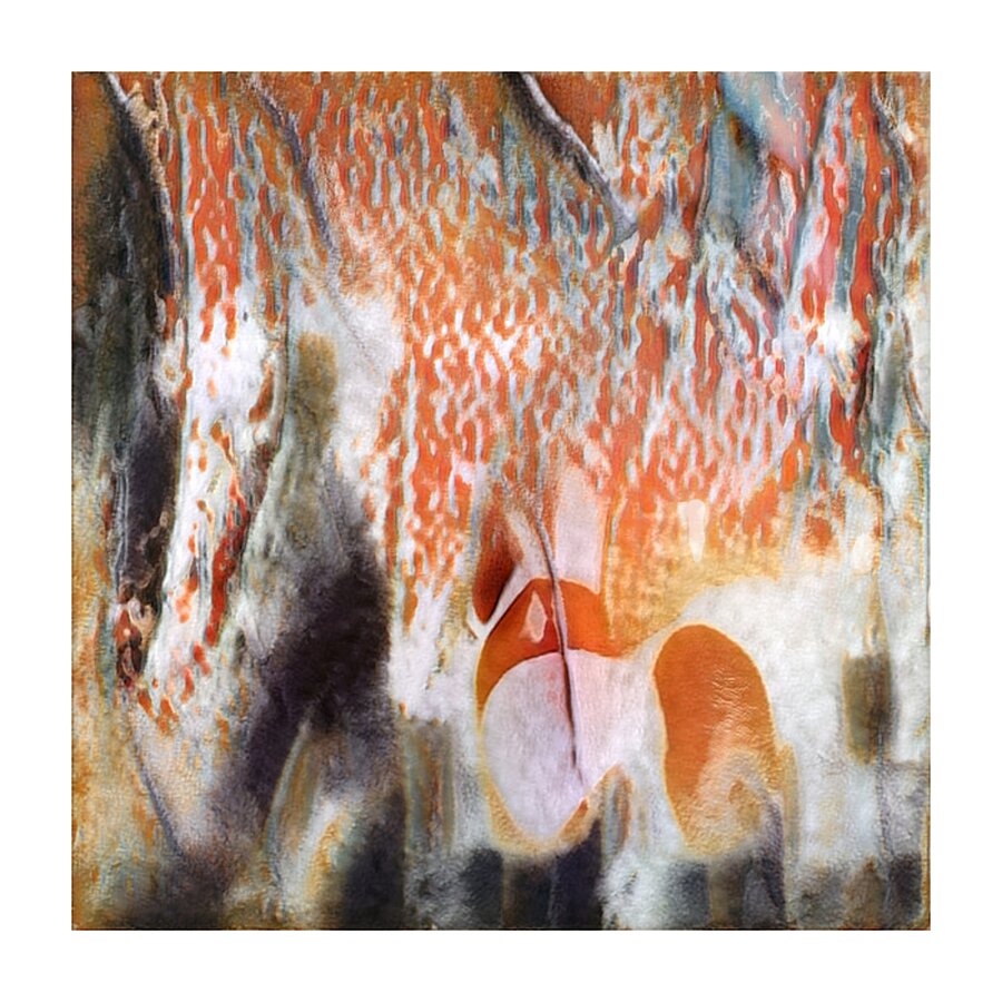 3428 8K Picture Frame print