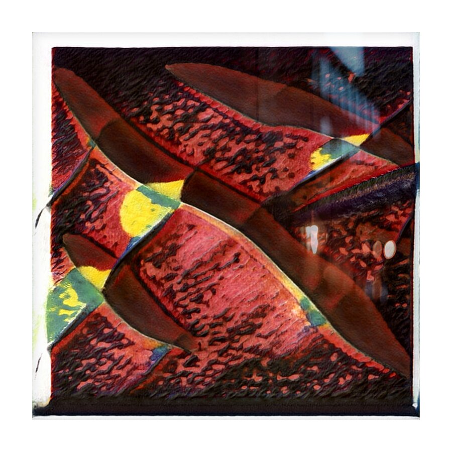 3449 8K Picture Frame print