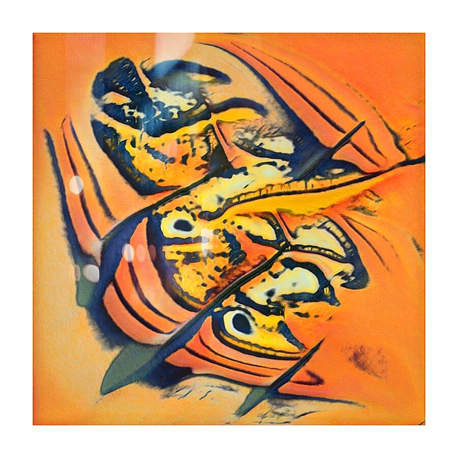 3444 8K Picture Frame print