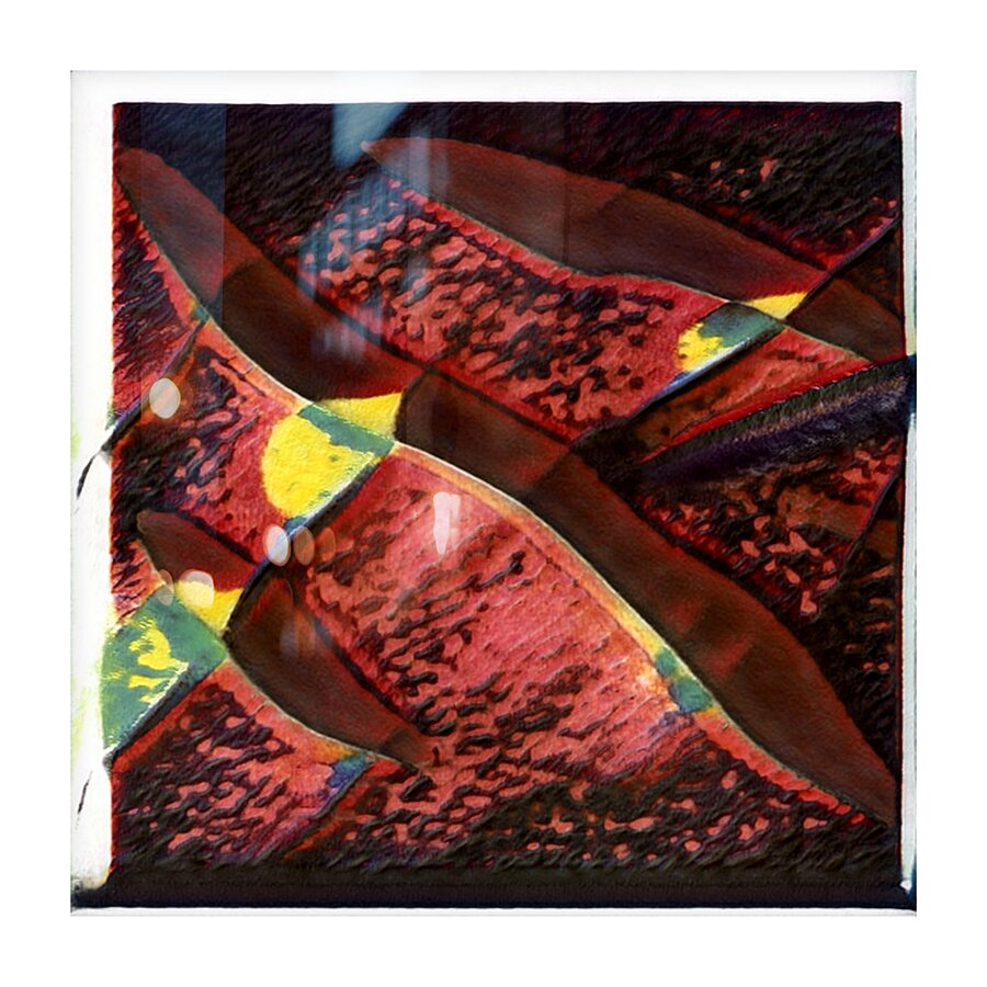 3449 8K Picture Frame print