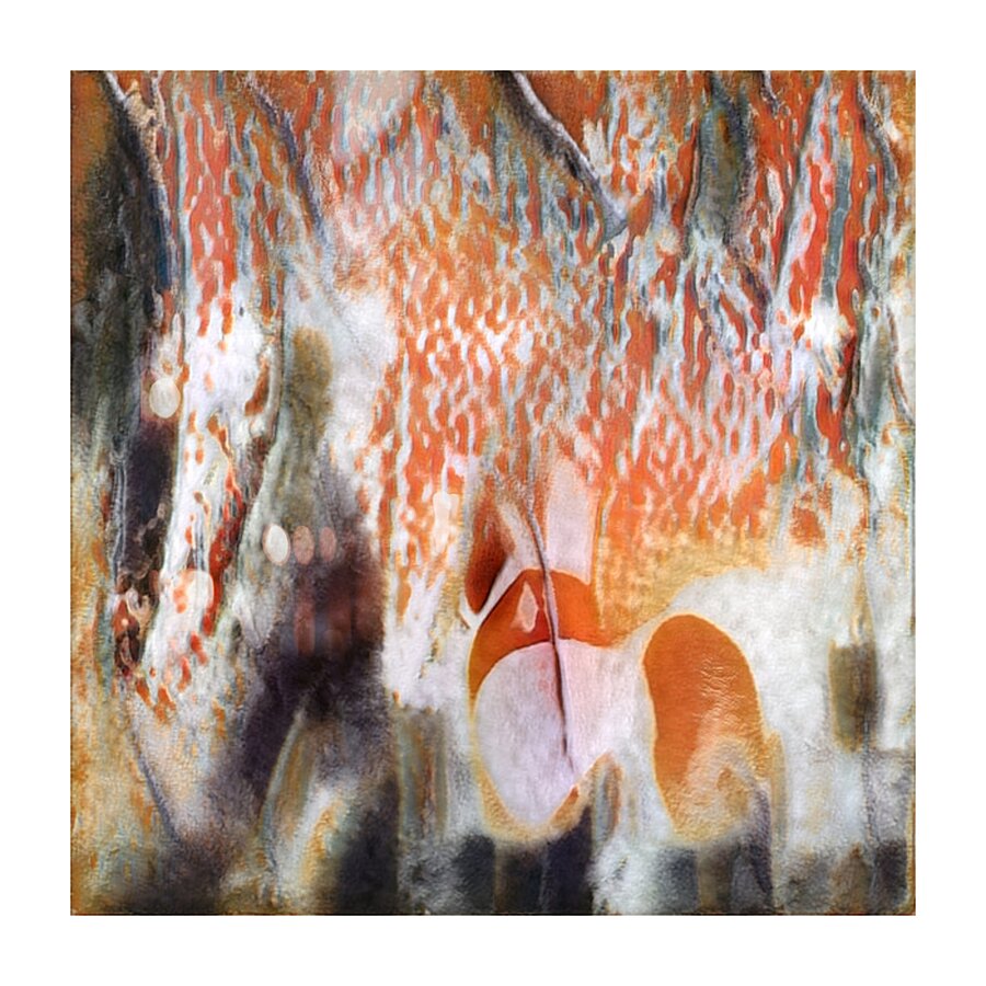 3428 8K Picture Frame print