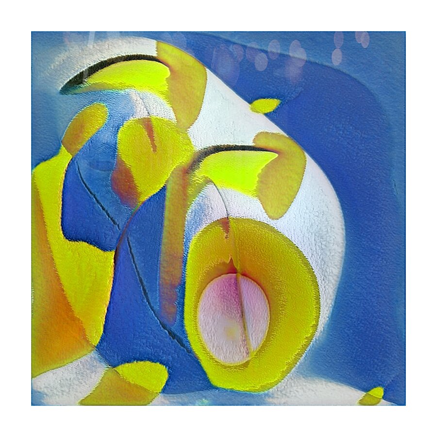 3629 8K Picture Frame print